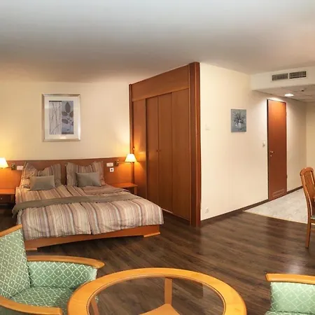 Palace Wellness Apartman *