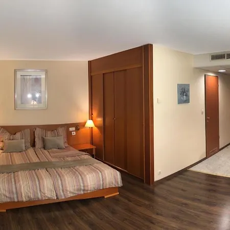 Palace Wellness Apartman *