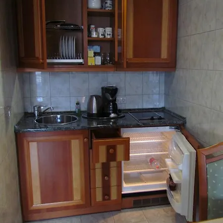 Palace Wellness Apartman * Hévíz