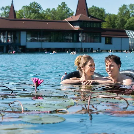 Palace Wellness Apartman Apartman